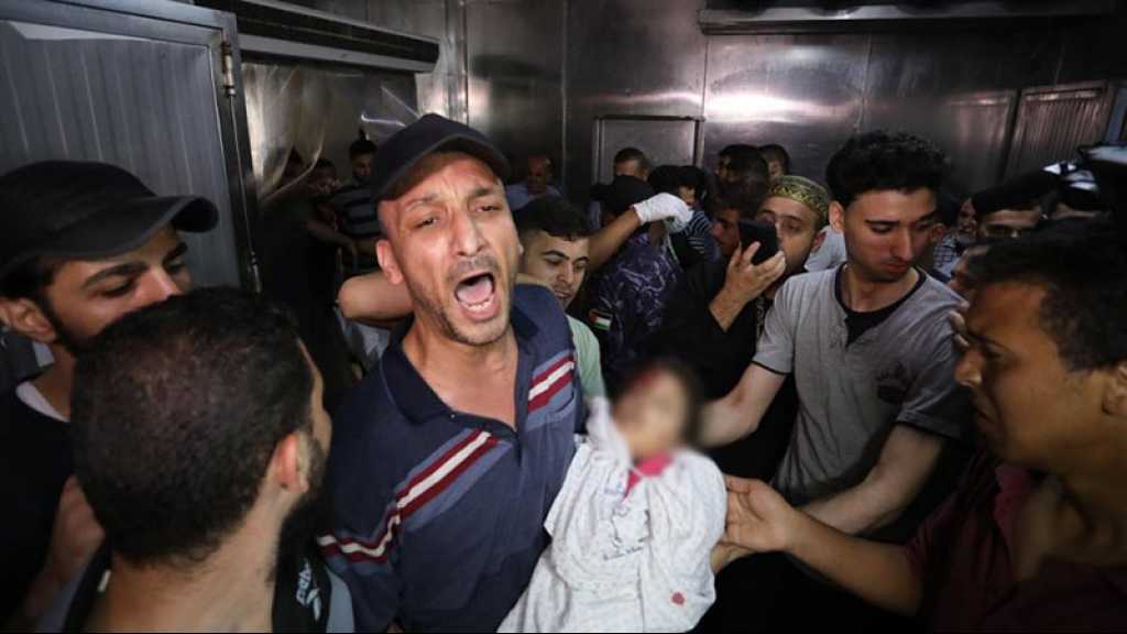 Agression contre Gaza: Al-Azhar al-Charif condamne «le terrorisme israélien»