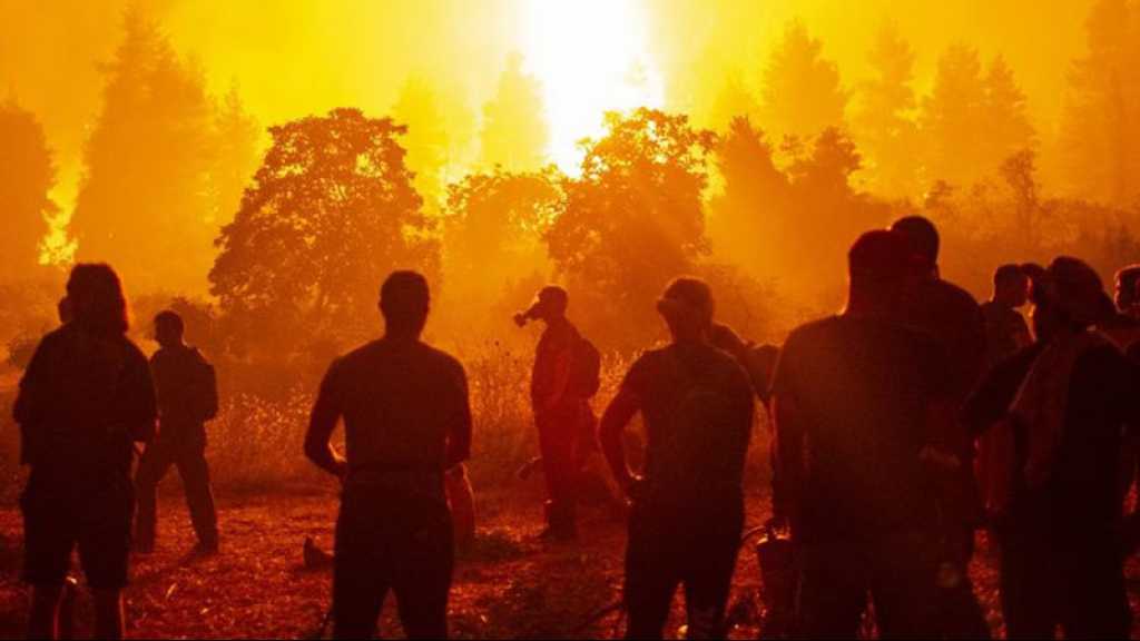 Algérie: le bilan des incendies dans plusieurs villes monte à 26 morts