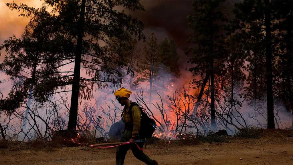Dans le nord de la Californie, les pompiers peinent à contenir un violent incendie