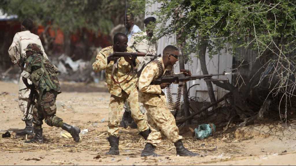 Somalie: 43 éléments du groupe terroriste «shebab» tués dans le centre du pays