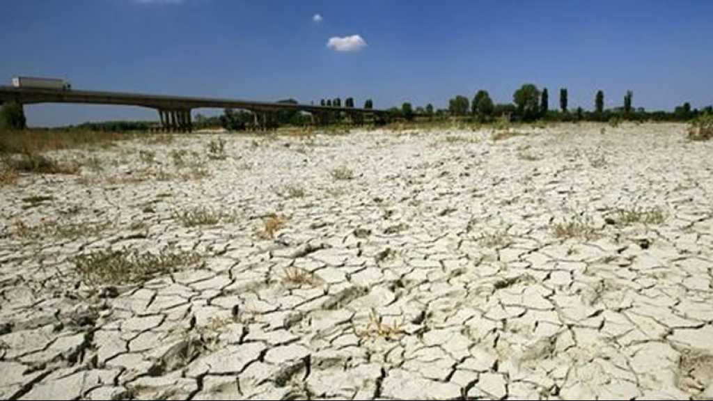 Le changement climatique rend la sécheresse estivale «au moins 20 fois plus probable»