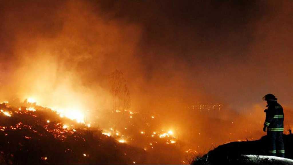 Chili: au moins 13 morts dans plus de 200 incendies de forêt