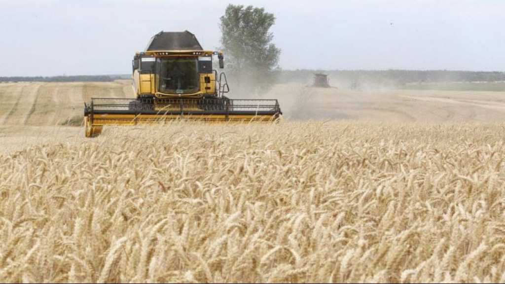 L’Ukraine suspendra les exportations de céréales vers la Pologne, selon un accord bilatéral