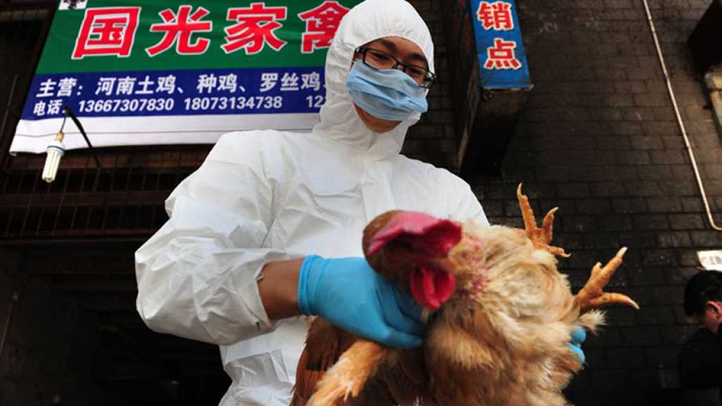Chine: un premier décès de la grippe aviaire H3N8 enregistré