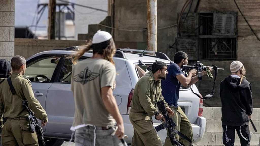 Environ 600 attaques de colons contre des Palestiniens en six mois, selon l’ONU