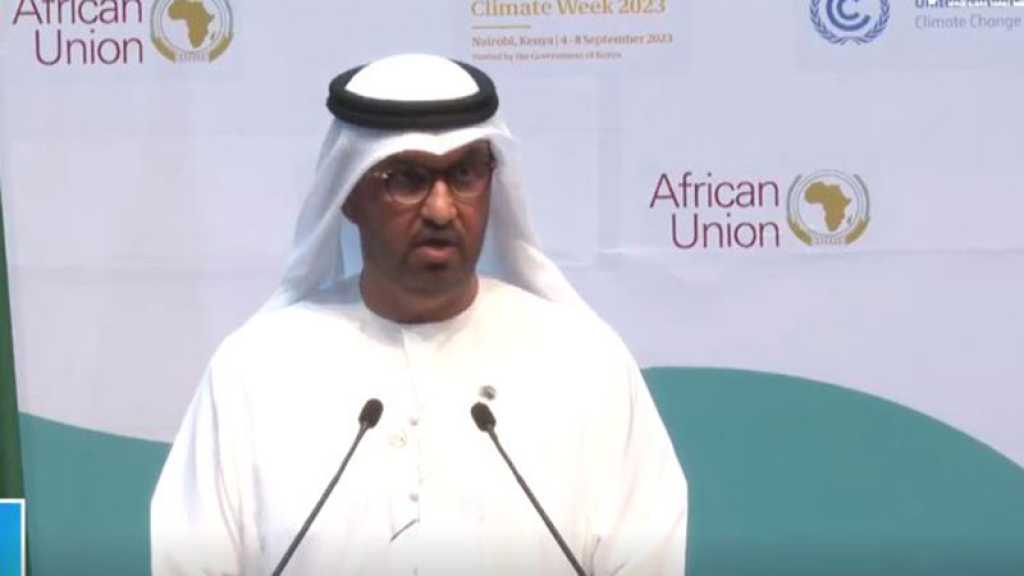 Les Emirats annoncent 4,5 milliards de dollars d’investissements pour les énergies propres en Afrique