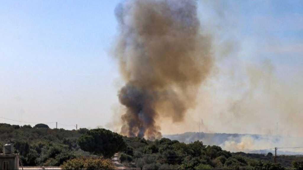 Opérations anti israéliennes du Hezbollah, du Hamas et de la Jamaa Islamiya depuis le Liban-Sud, un drone abattu