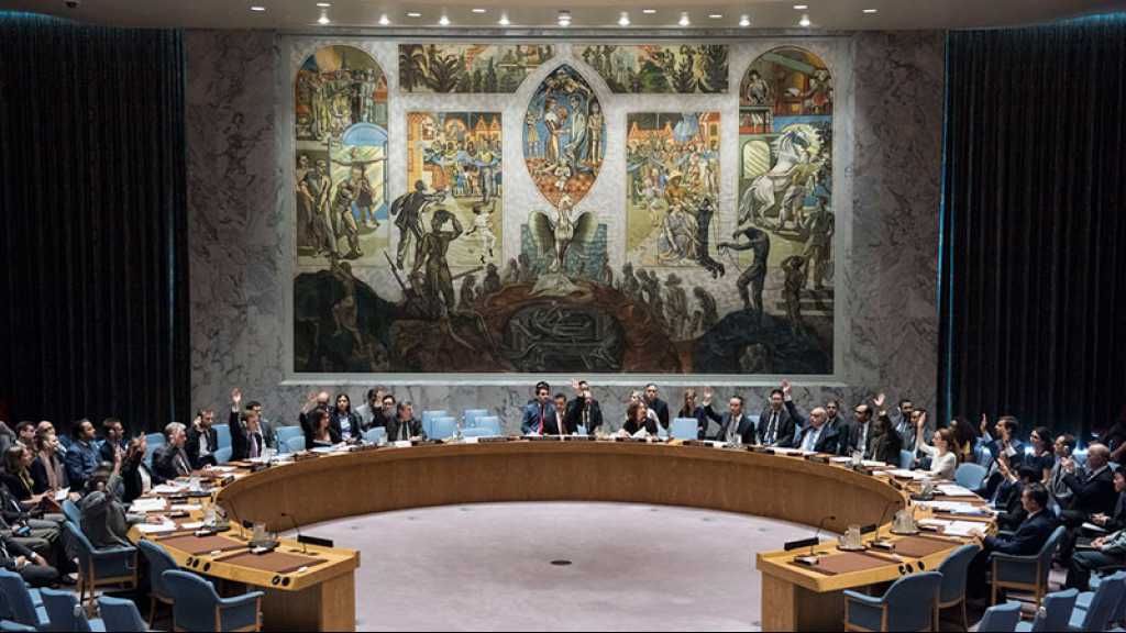 Gaza: Sortant du silence, le Conseil de sécurité de l’ONU appelle à des pauses humanitaires