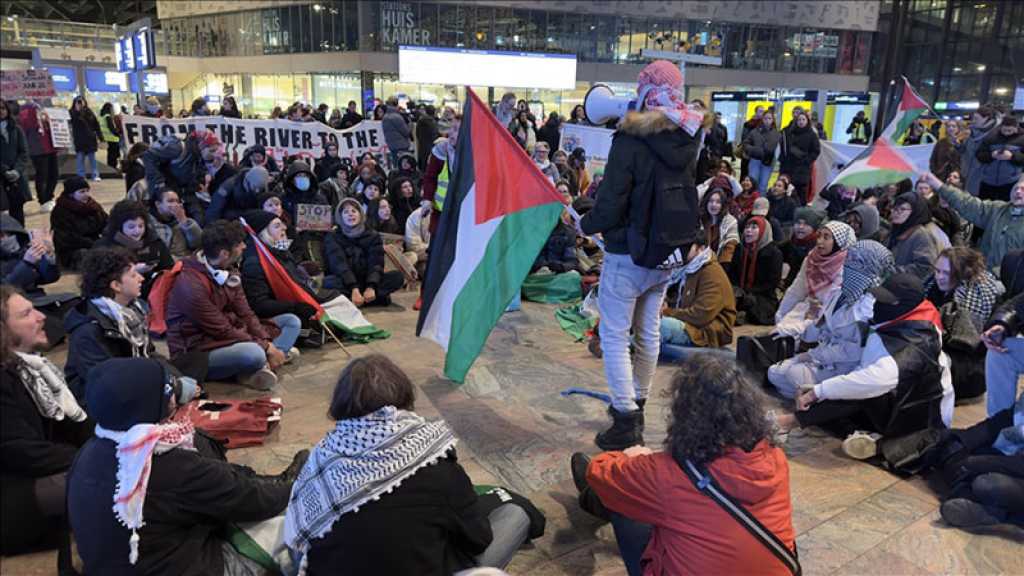 Gaza: manifestations propalestiniennes en Suède et aux Pays-Bas