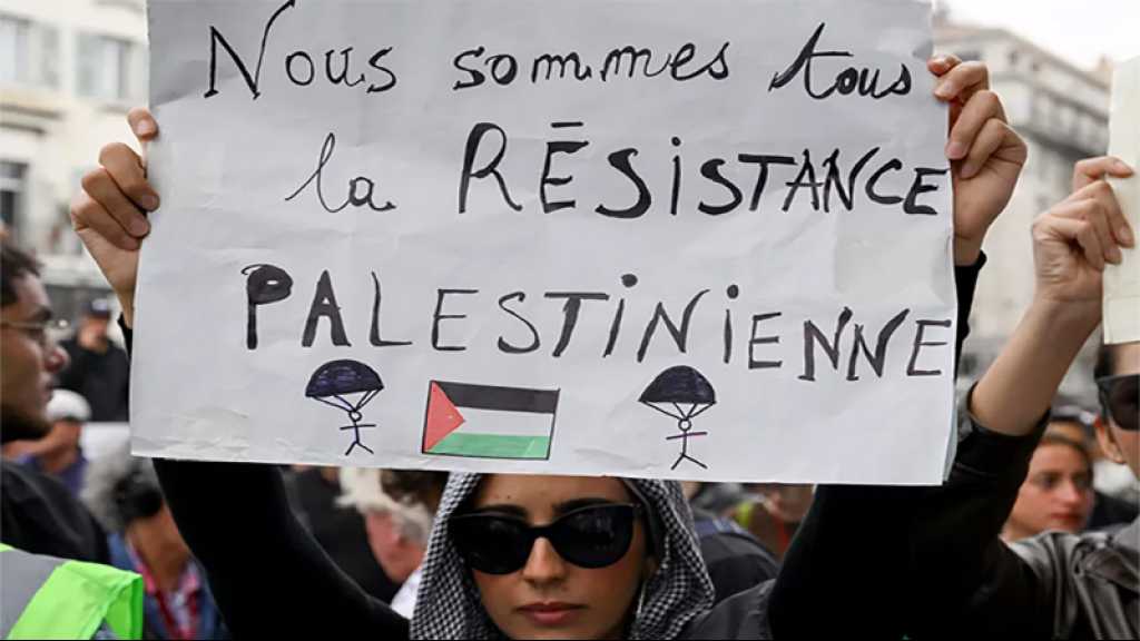 Marseille: Des milliers de personnes ont défilé en soutien à la Palestine