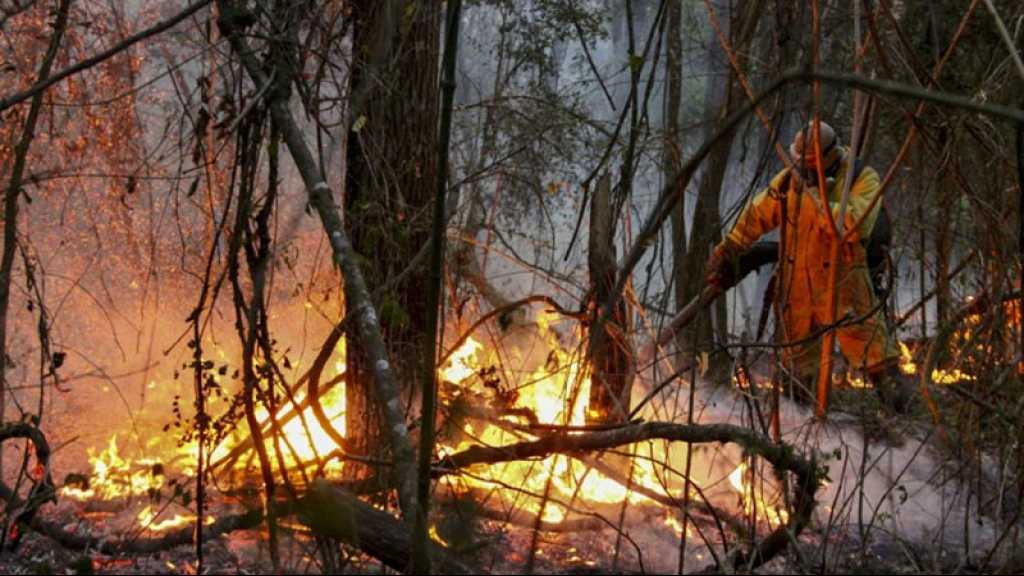 Le Brésil n’en finit plus de lutter contre les incendies