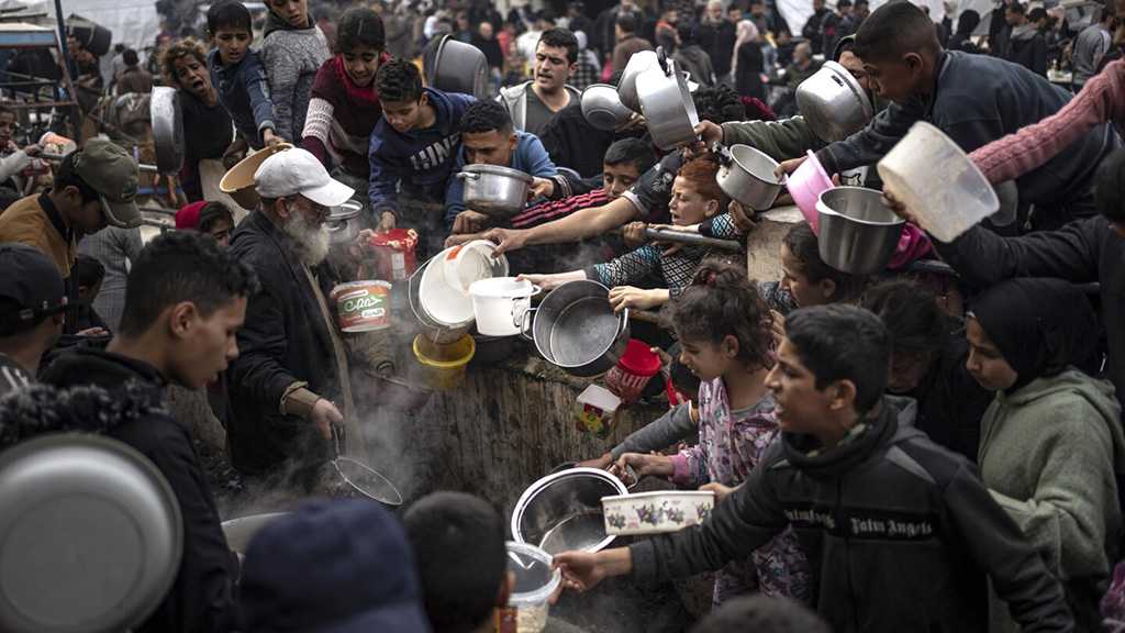 OMS: Les experts en sécurité alimentaire mondiale mettent en garde contre une famine «inquiétante» à Gaza