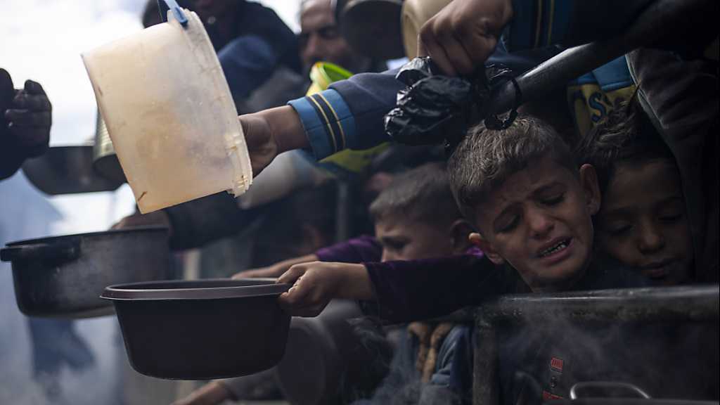 Nord de Gaza: Seuls douze camions ont pu livrer de la nourriture et de l’eau en deux mois et demi