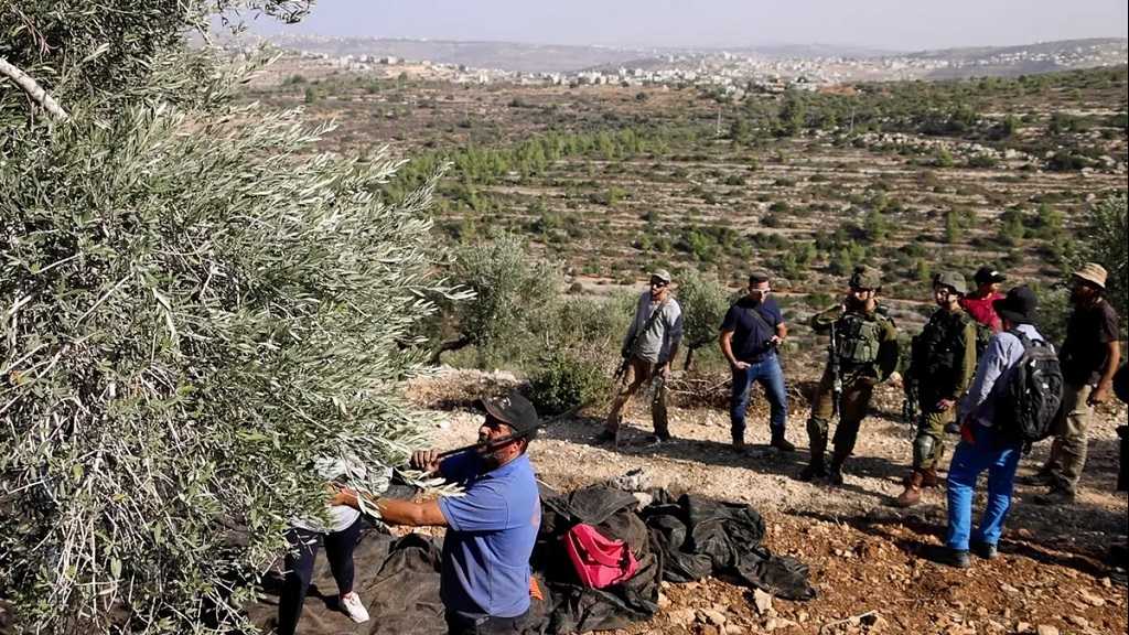 La «Knesset» approuve aux colons de posséder des terres en Cisjordanie occupée