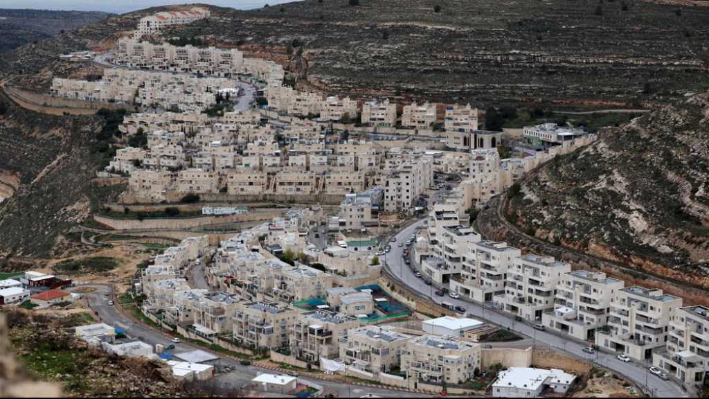 Cisjordanie occupée: «Israël» poursuit son plan de construction de 1000 logements pour les colons