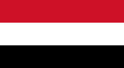  Le porte-parole des forces armées yéménites, le brigadier Yehya Sarie: Les régimes saoudiens et émiratis profitent des mercenaires des plusieurs pays pour poursuivre leur offensive 